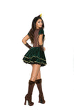 Adorable Archer - 3 pc. costume includes dress, arm guards and head piece.