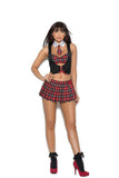 Teacher's Pet - 3 pc. costume includes vest with attached bra, skirt and collar with attached tie.