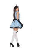 Storybook Alice - 4 pc. costume includes dress, head piece, apron and gloves.